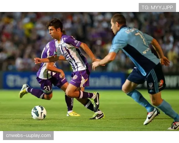 斯特拉斯堡举办残疾人士轮椅足球友谊赛